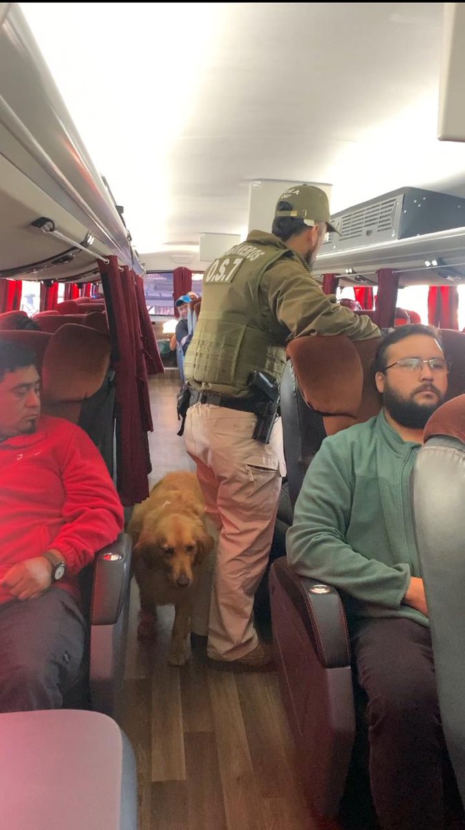 Delegación Presidencial Regional de Los Lagos tweet media