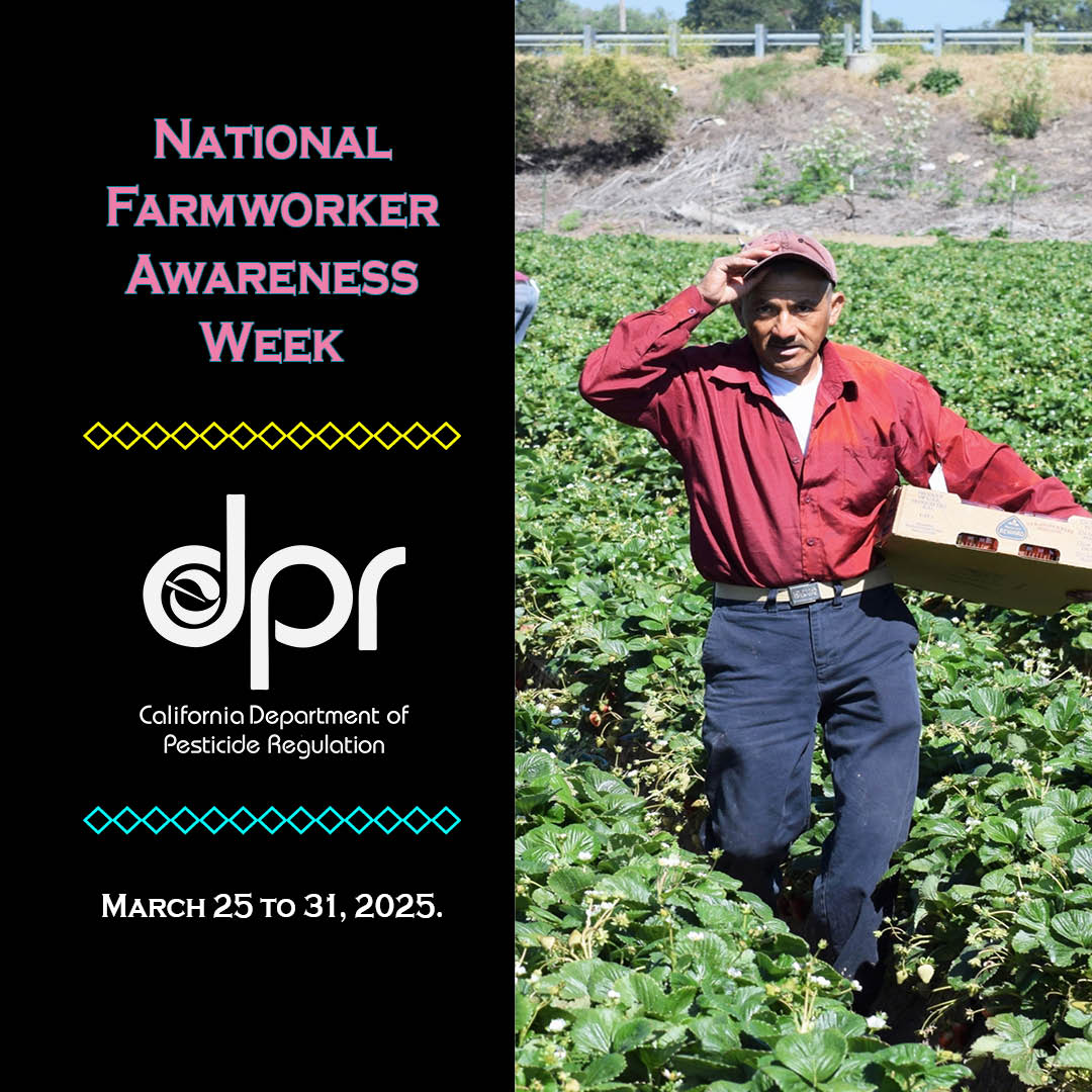 CA_PesticideReg's tweet photo. #DYK California’s farms and ranches produce $50B in food and fiber annually? This includes about a third of all vegetables &amp; two thirds of all fruits &amp; nuts consumed in the US. The state’s roughly 500K farmworkers make it possible. Join us in recognizing #FarmworkerAwarenessWeek https://t.co/xWqzfAxmkd