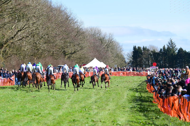 Ballynoe Point to Point tweet media