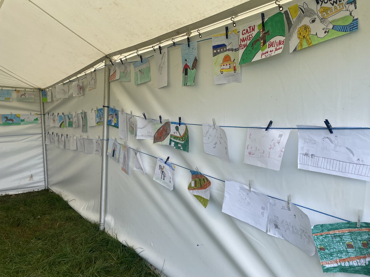 Ballynoe Point to Point tweet media