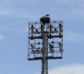 🆕 Inauguración oficial: 6 de septiembre de 1957.

🆚 Primer rival, el Athletic Club. 

⚽️ Primer gol del Recre, obra de Pilli.