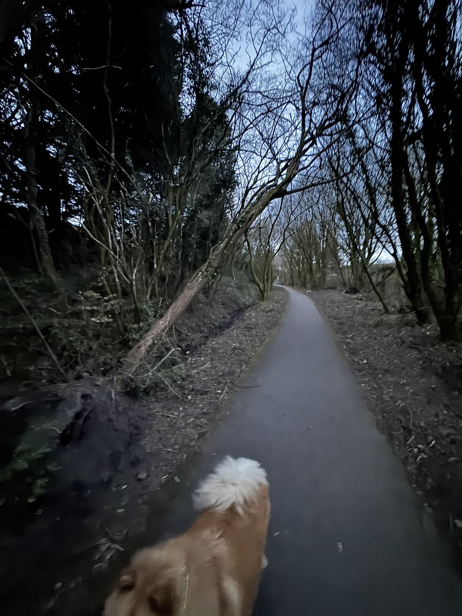 Lee James Evans 🦆 tweet media