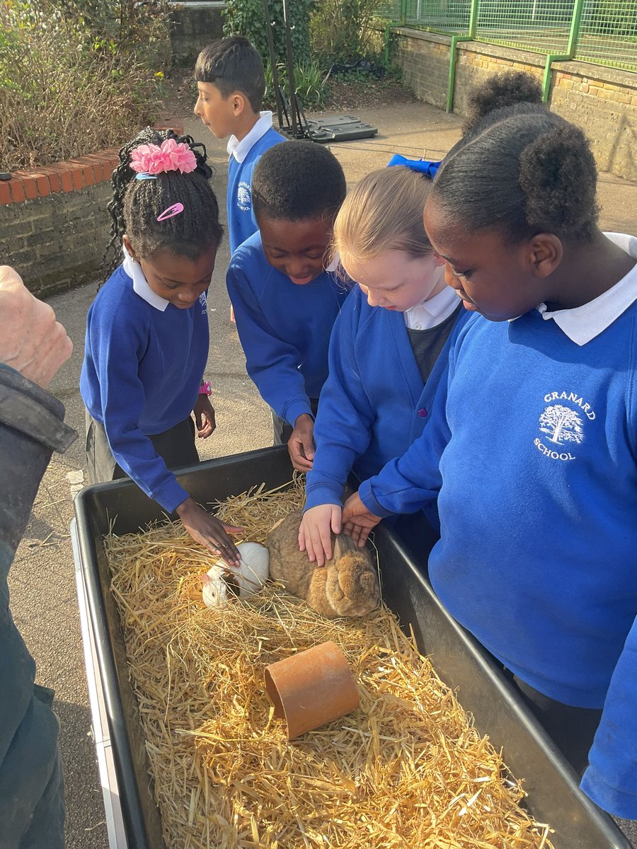 Granard Primary School tweet media