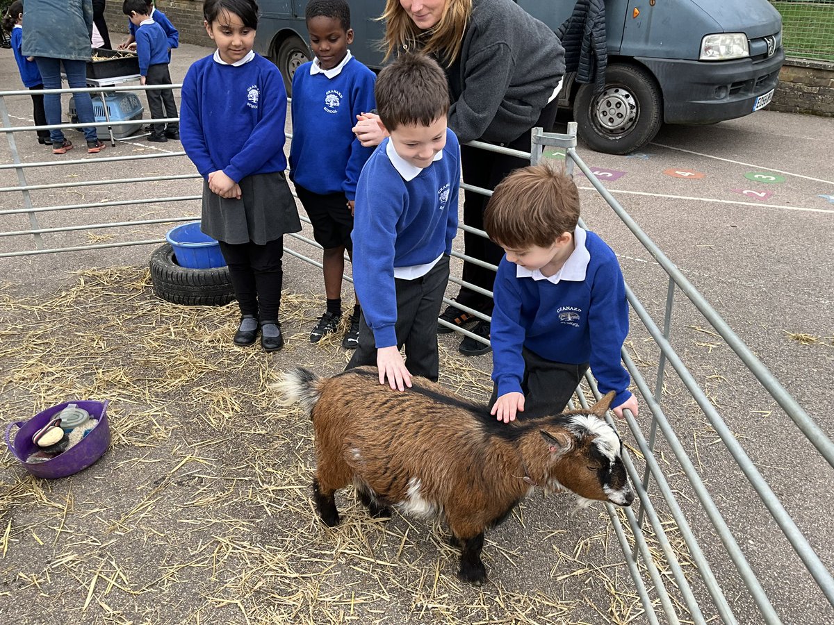 Granard Primary School tweet media