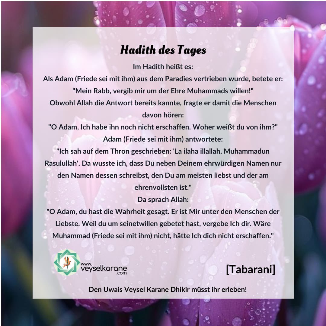 uwaisindeutsch1's tweet photo. Wenn wir auf die Welt kommen und uns der Sehnsucht hingeben, "Allah zu erkennen, zu lieben und die Liebe zu Ihm zu verbreiten", dann wird unser Licht (Nour) noch stärker. 

@veyselkarane 

#Rumi   #Gebet    #Nafs    #Seele    #Koran https://t.co/wALG4vJDoD