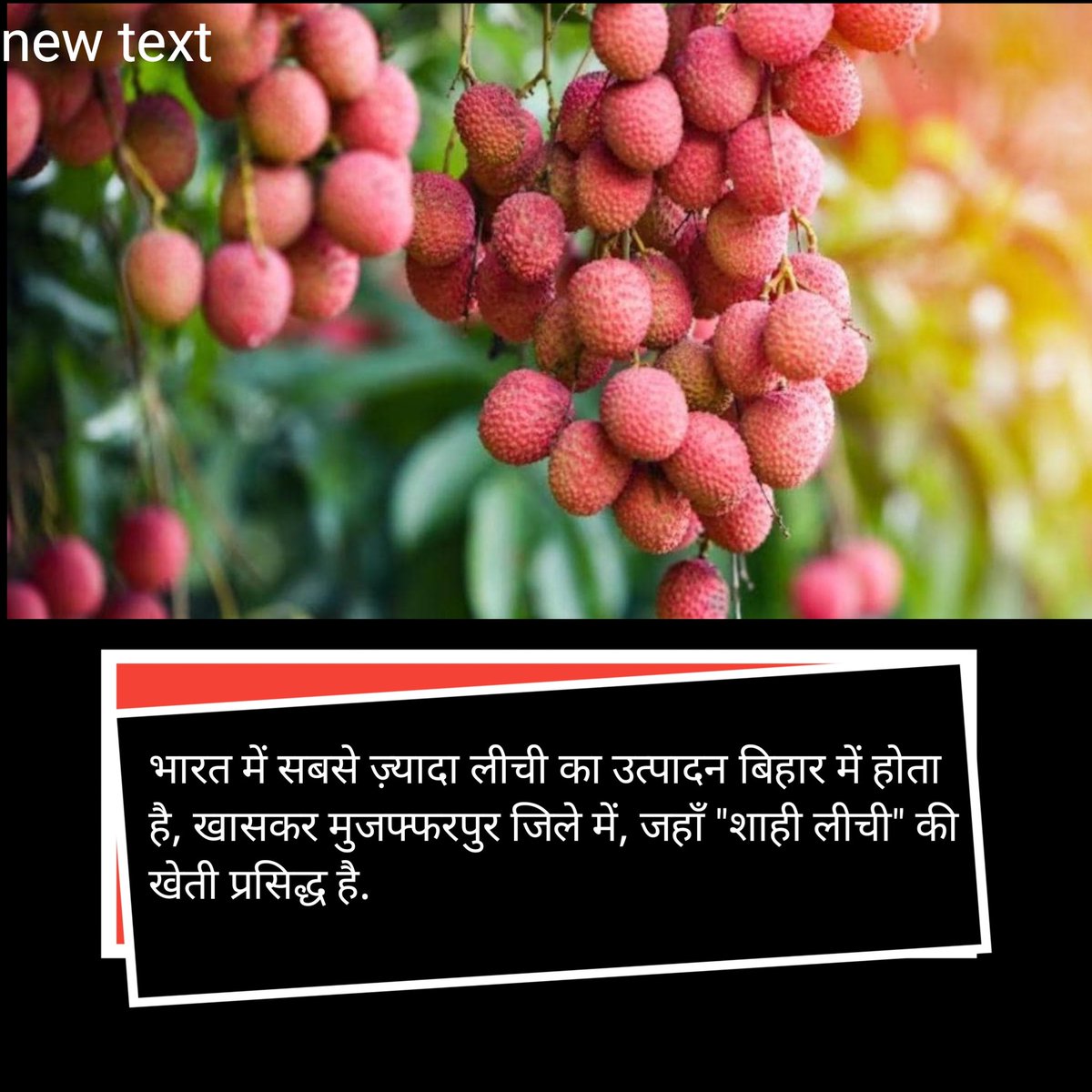 SHASHIK54220188's tweet photo. https://t.co/XuSRNFWsQJ