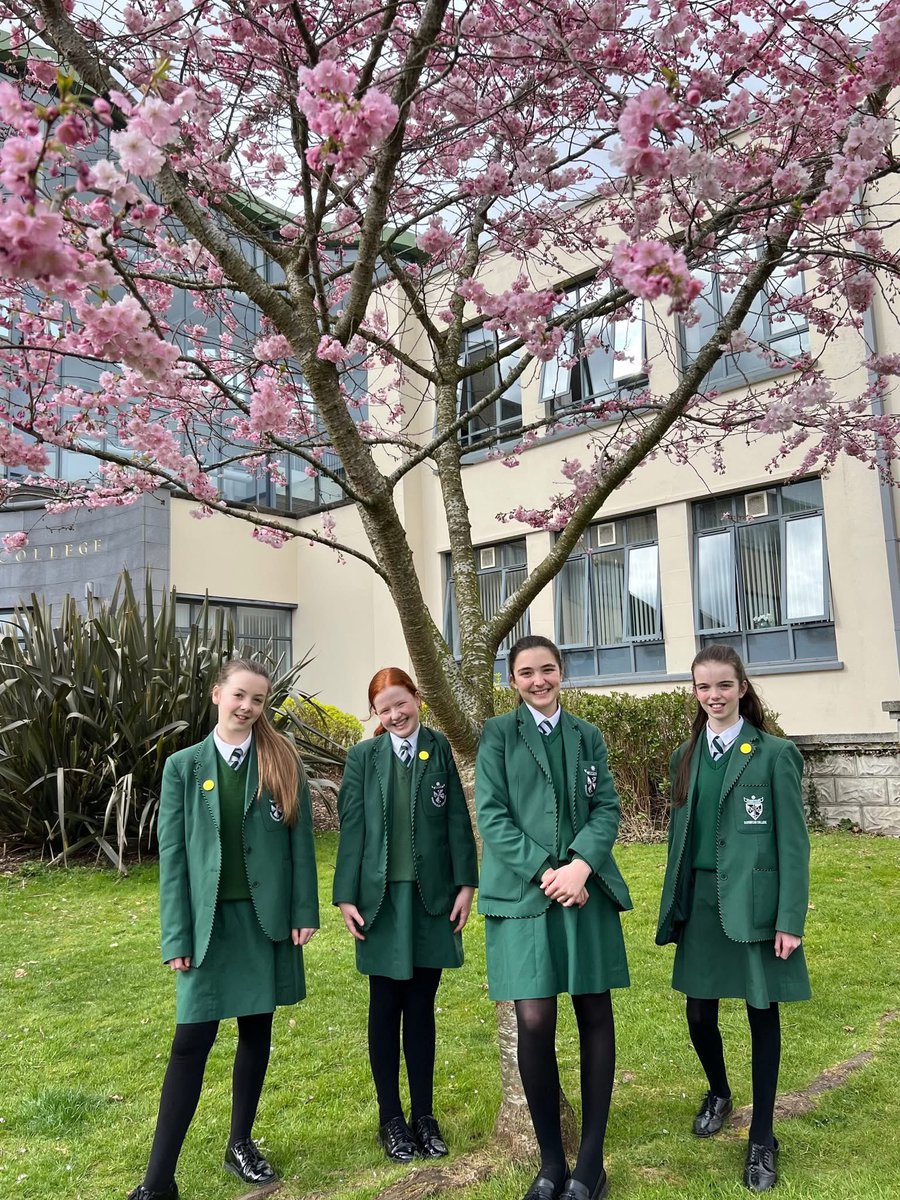 DCF_Belfast's tweet photo. Our blooming Cherry Blossom Trees provide the perfect backdrop for our Spring Concert taking place this Thursday at 7.30pm. Tickets are still available from the accounts office. All are welcome to attend a wonderful evening hosted by our Music Department🌷 https://t.co/PIDMFrY535