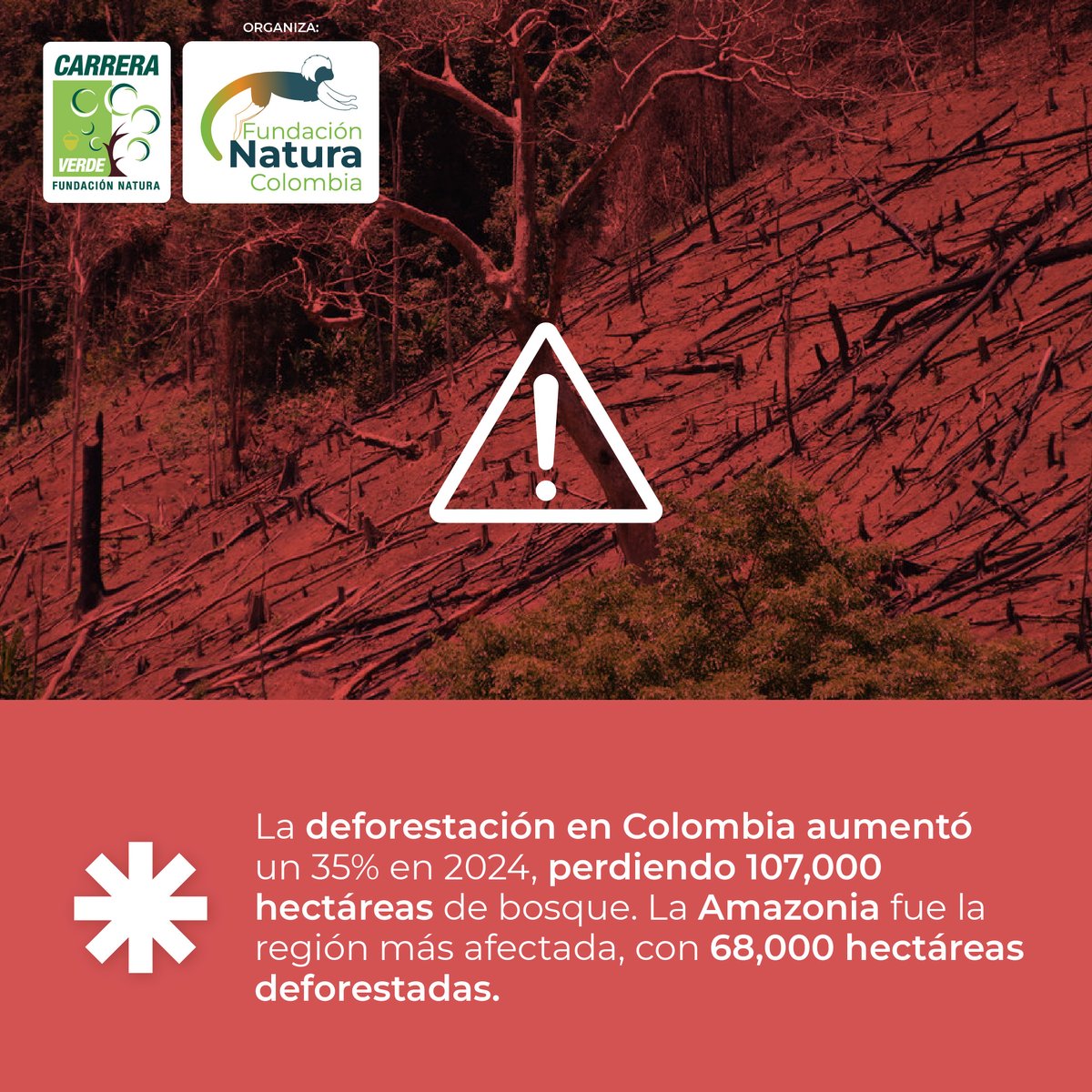 ¡Es momento de actuar! Participa en la Carrera Verde 2025 y contribuye a la restauración de nuestros bosques. Cada paso cuenta. 🏃‍♀️🌱  Inscríbete aquí: carreraverdecolombia.com  Carrera Verde 2025 :10 años restaurando nuestro futuro.