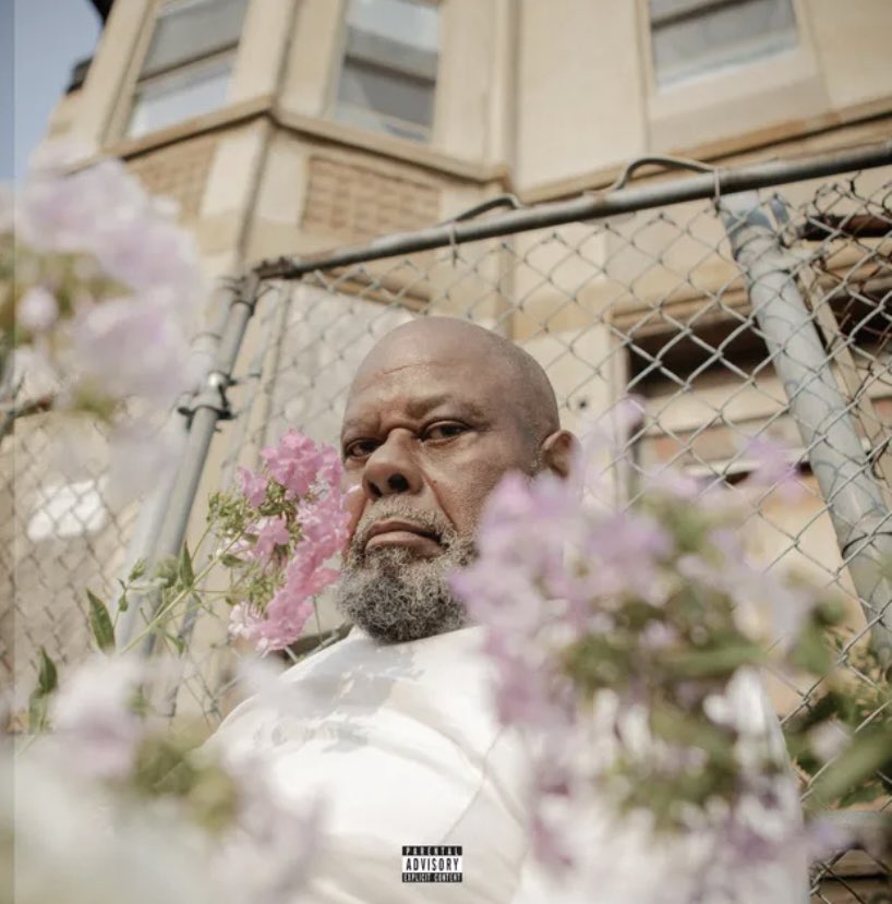 SHREK KNOWS RAP tweet media