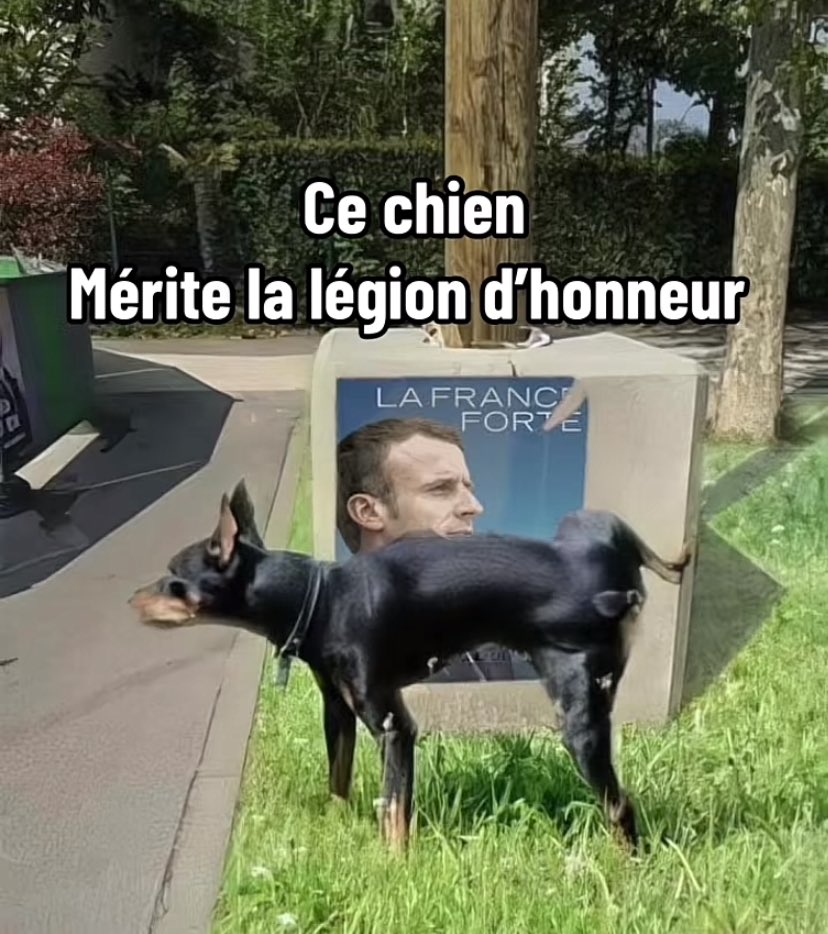 Renard Jean-Michel tweet media