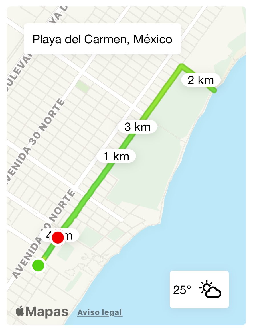 fboneta's tweet photo. Hoy también hubo paseo por la 5a. Av. y la playita; corrí 4.02 km + pushups + fierros callejeros + handstand pushups + nadada caribeña #endorphinejunkie #horafeliz #oldschool #PAQUETE https://t.co/g0i5qswL4b