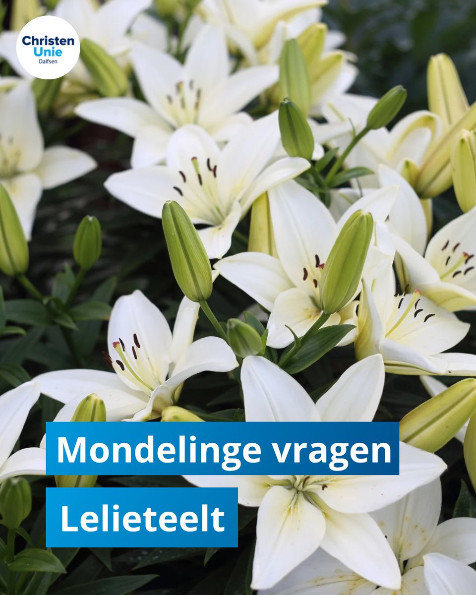 Afgelopen maandag vroegen we het college om de impact van lelieteelt en pesticidegebruik aan te kaarten bij de provincie, belangenorganisaties en binnen P10. Het college heeft dit toegezegd! 💪 Ook andere partijen deelden onze zorgen.  

Meer info: ris.dalfsen.nl/Vergaderingen/…
