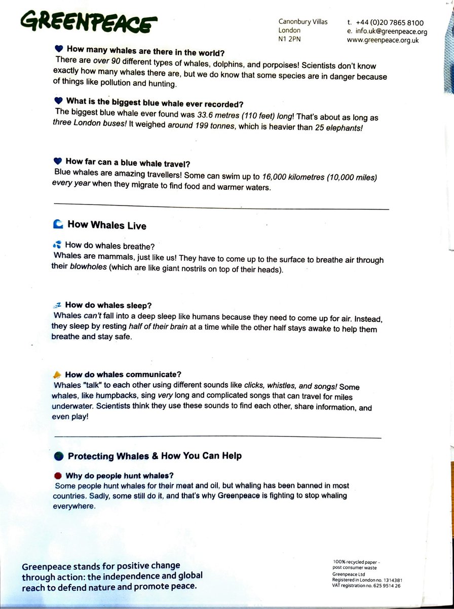 Highgate Primary Academy tweet media