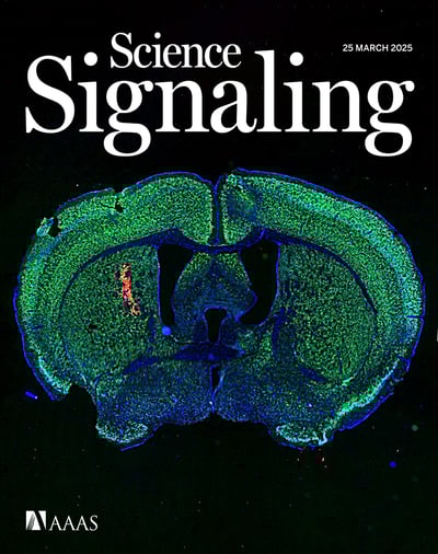 I wouldn't have anticipated a Lupus self-directed antibody might someday turn out to be an anti-cancer treatment  science.org/doi/10.1126/sc…