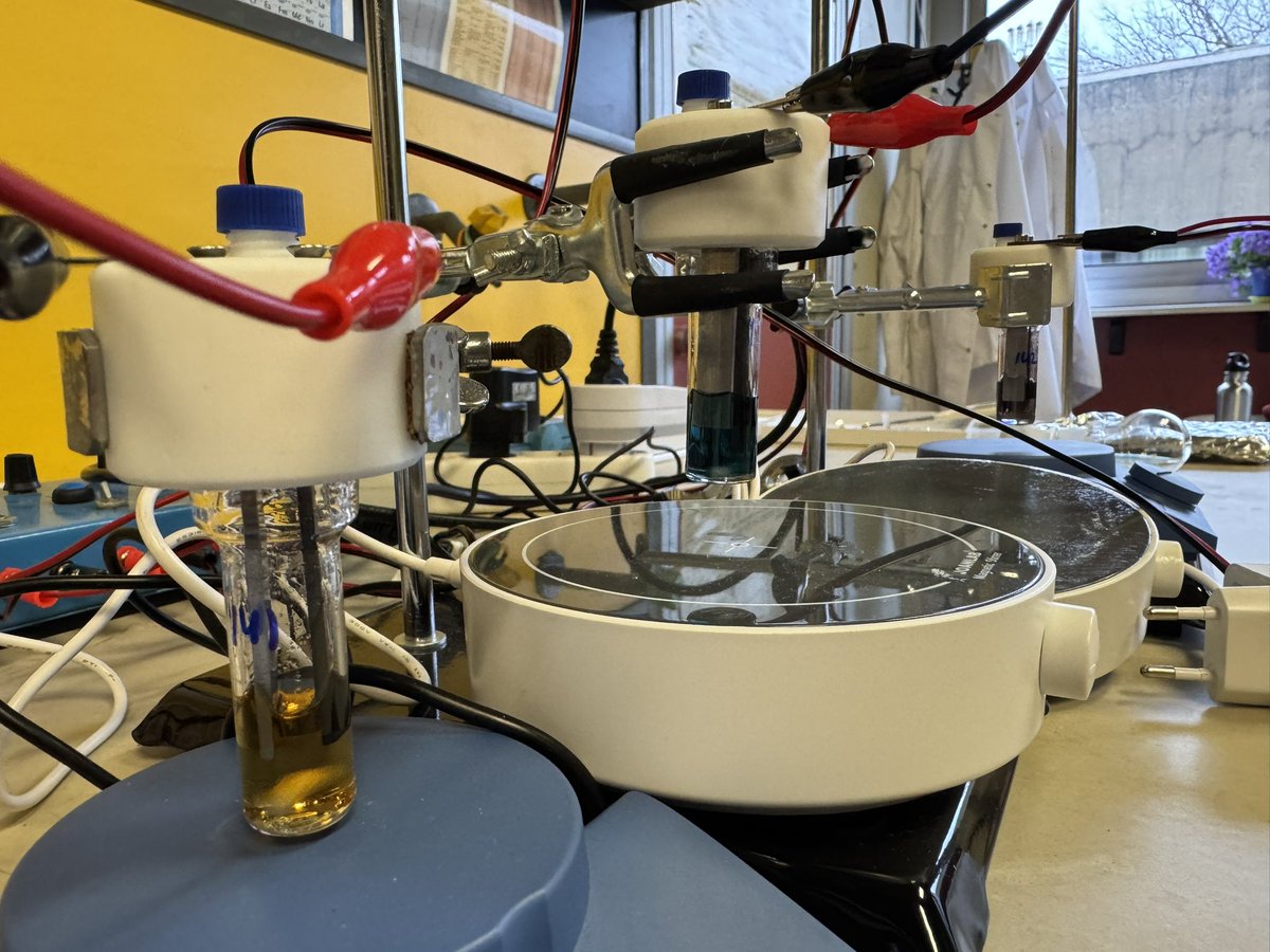 Daniele Mazzarella tweet media