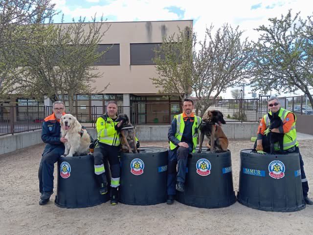 CEIP Ntra. Sra. de la Soledad tweet media