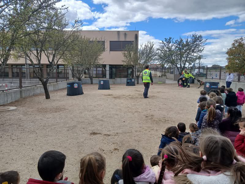 CEIP Ntra. Sra. de la Soledad tweet media