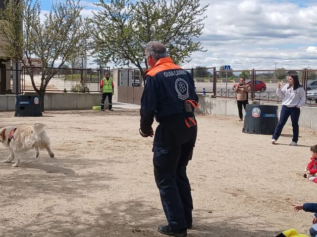 CEIP Ntra. Sra. de la Soledad tweet media