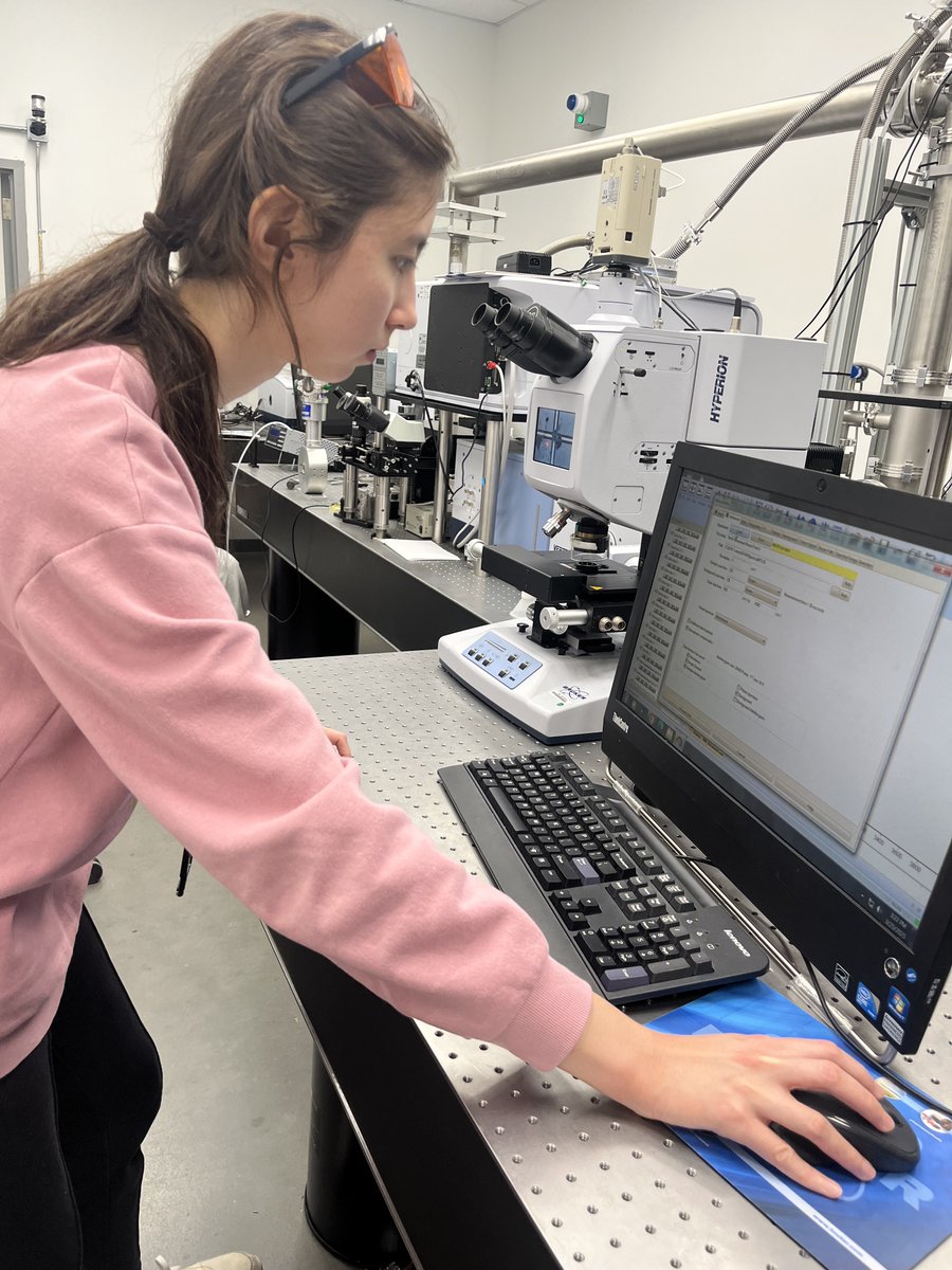 BHS Research tweet media