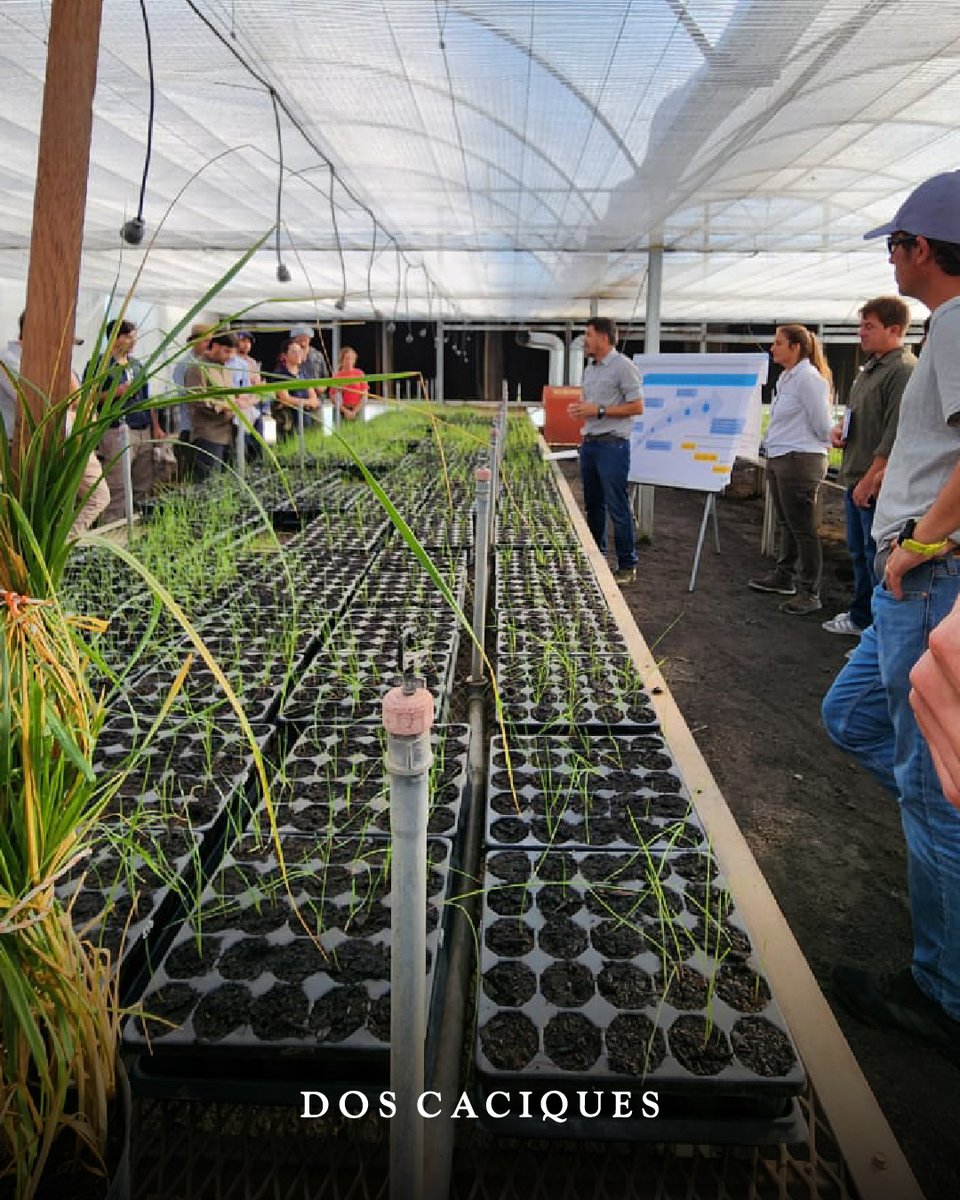 📍Recorrida en la localidad de Pergamino
🌱Campo experimental <a href="/GentosArg/">Gentos Argentina</a> 

Desarrollo continuo de tecnologías de vanguardia acorde a las necesidades del productor 🚜

#gentos #gentedepastos #doscaciques #campo #campoargentino #campoexperimental