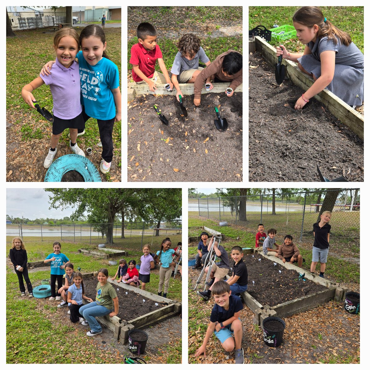 It's planting day!!!!  The students had the opportunity to plant their sprouts and seeds today. <a href="/SPEHAWKSNAPLES/">SPEHAWKS</a>
