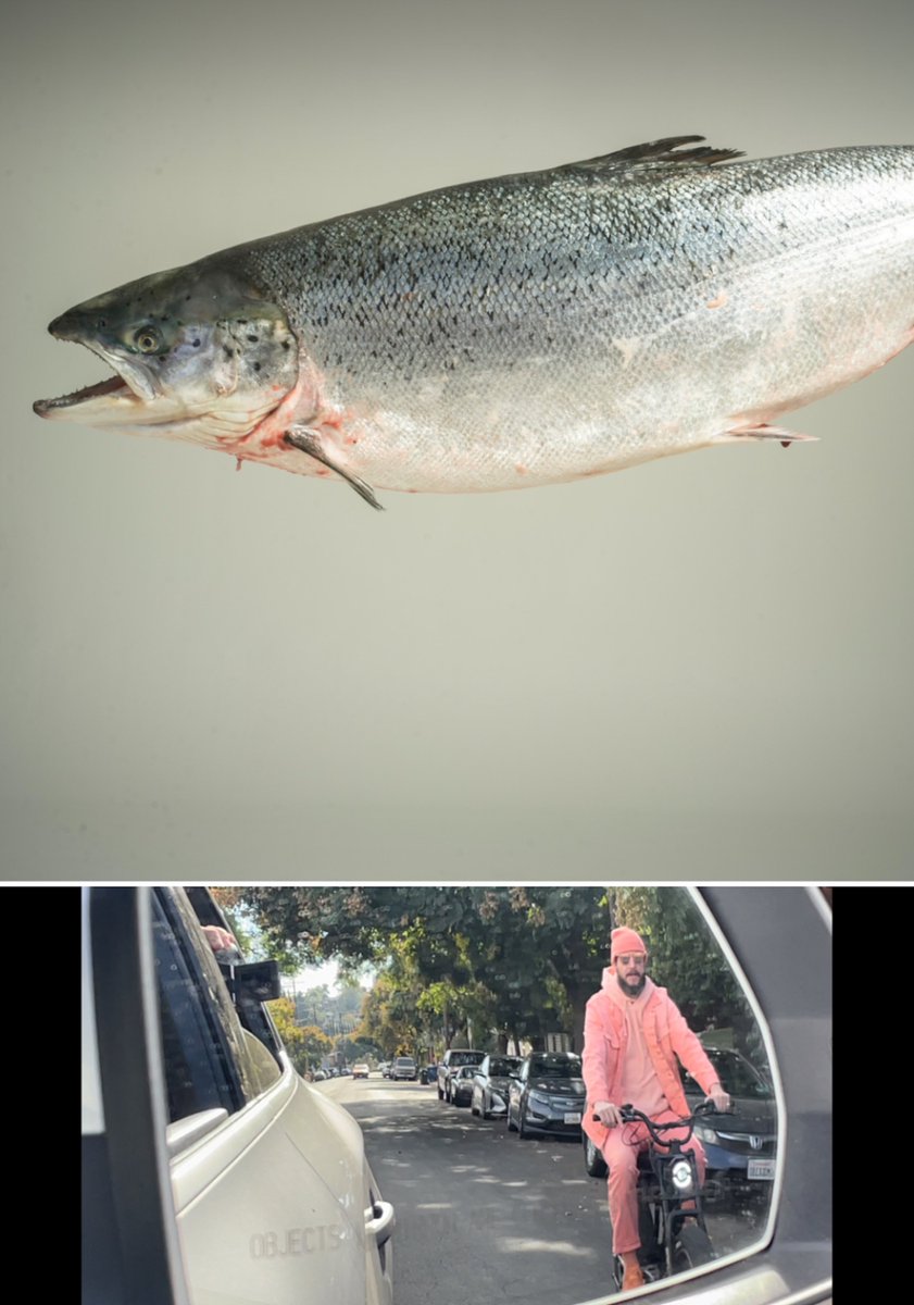 Bon Iver tweet media