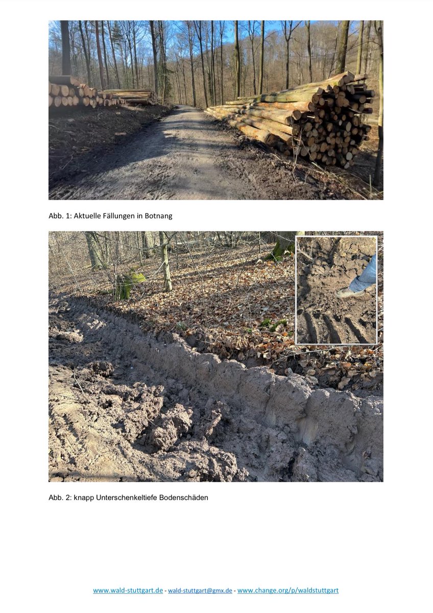 zukunft_wald's tweet photo. Anbei unser offener Brief an unseren OB von @stuttgart_stadt und den Gemeinderat anlässlich neuerlicher Fällungen von ForstBW in Stuttgart #Botnang
@CDUStuttgart @gruenestuttgart @fdpstuttgart @spdbawue @CDU_BW @FDPBW @FREIEWAEHLERBW @greenpeace_de @cem_oezdemir @thekla_walker https://t.co/6xW6kmTxkf