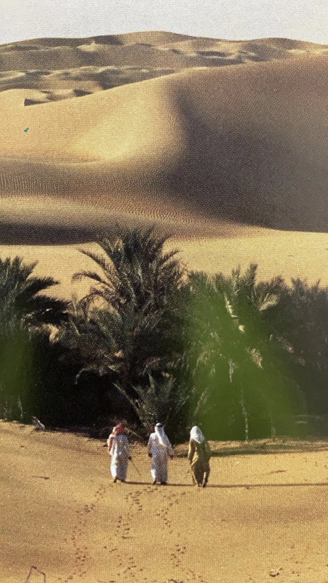 رأيتُ بحلمي أنّا التقينا
مُصادفةً حُلوةً في الزّحامْ
حديثٌ قصيرٌ جرى بيننا
سؤالٌ عنِ الحالِ ثمّ سلامْ
وأمّا العيونُ فقالت كثيرًا
وأزْهرَ قلبي لوقعِ الكلامْ
فليت اللقاء يكونُ يقينًا
وليت الفراق حديثُ منامْ
