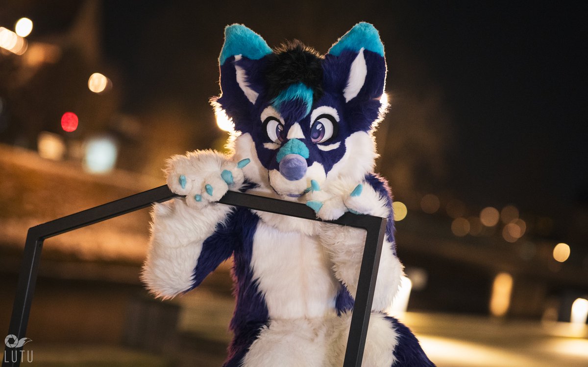 Heyo :3

📷<a href="/Lutufox/">Lutu 💙💛</a>
🧵<a href="/AltaWoof/">Alta!! 🔜 Pawske, MFF</a>
📍#NFC25