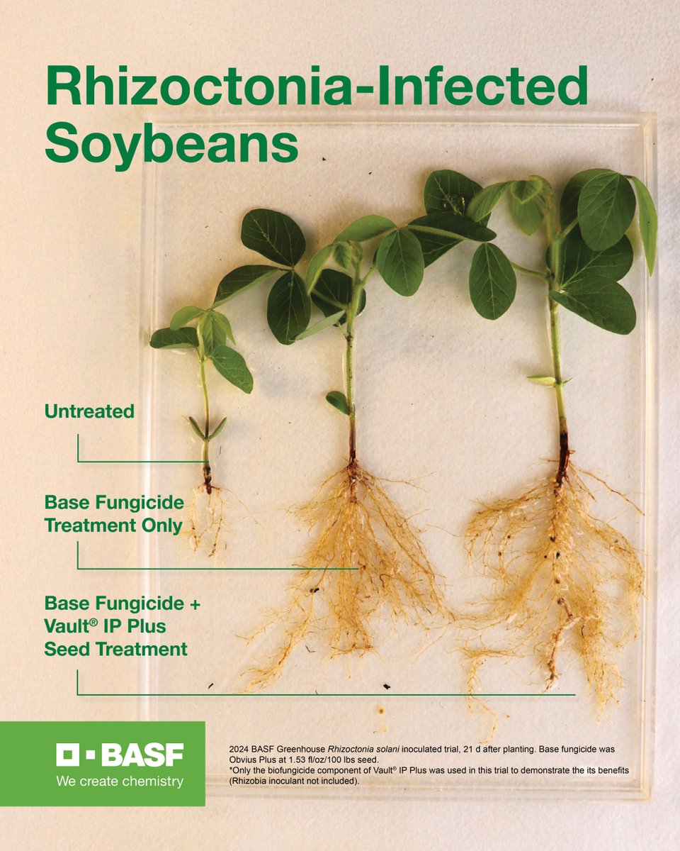 BASF Ag Solutions US tweet media