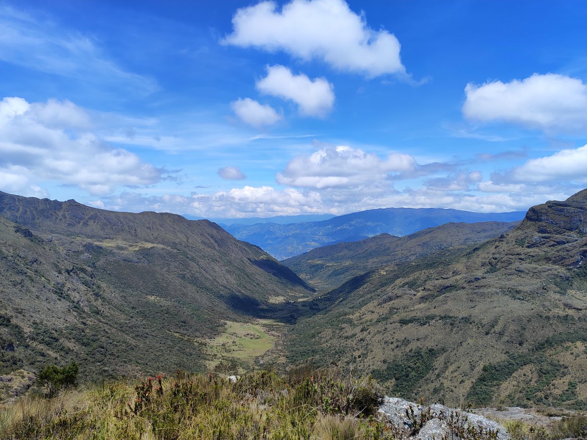 ViveNuestroNort's tweet photo. 🤩 Vista del Valle de los Salados, desde la Laguna Negra, páramo de Santurbán, municipio de Mutiscua. ⛰️
📸 @AtrasHayPuesto
#ViveNuestroNorte ❤️🖤
#Colombia 🇨🇴
#Travel #Tourism #Mountain #Landscape #NorteDeSantander #Mutiscua #Paramo https://t.co/zoDxDcFmYr
