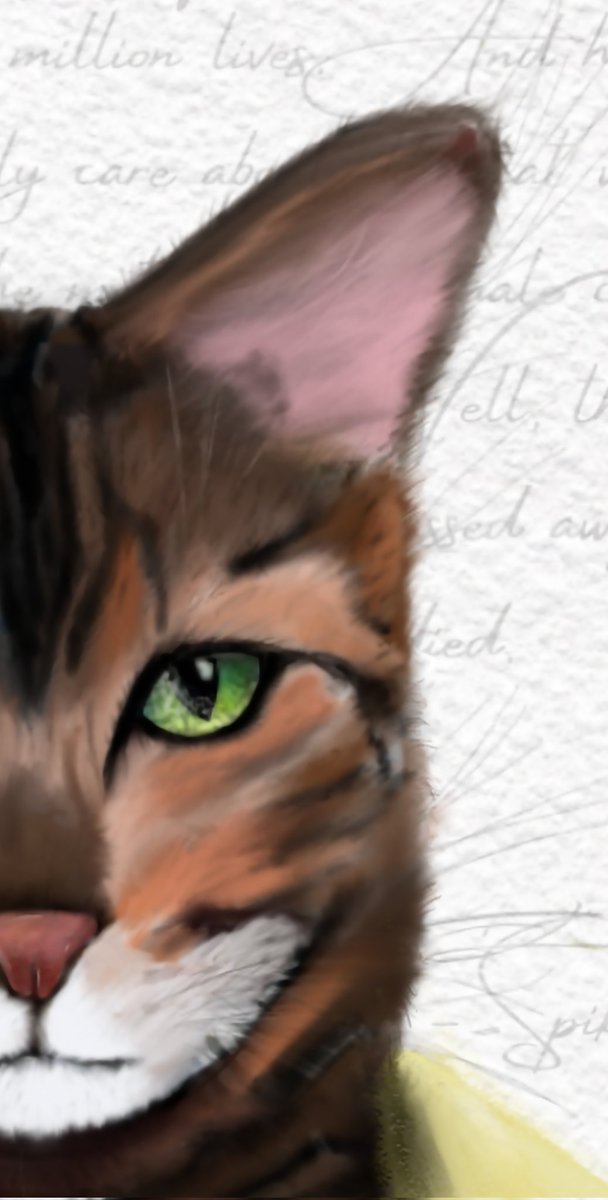 Shadeezxd's tweet image. You could mint a @TaprootWizards for $18k orrrr you could get a custom "Canvas Cat" for $1k. I will put in days to make sure you like every hair on your cats head. Why do people like low effort art so much? I even got told to stick to "scribbling on a napkin" but I want to push!
