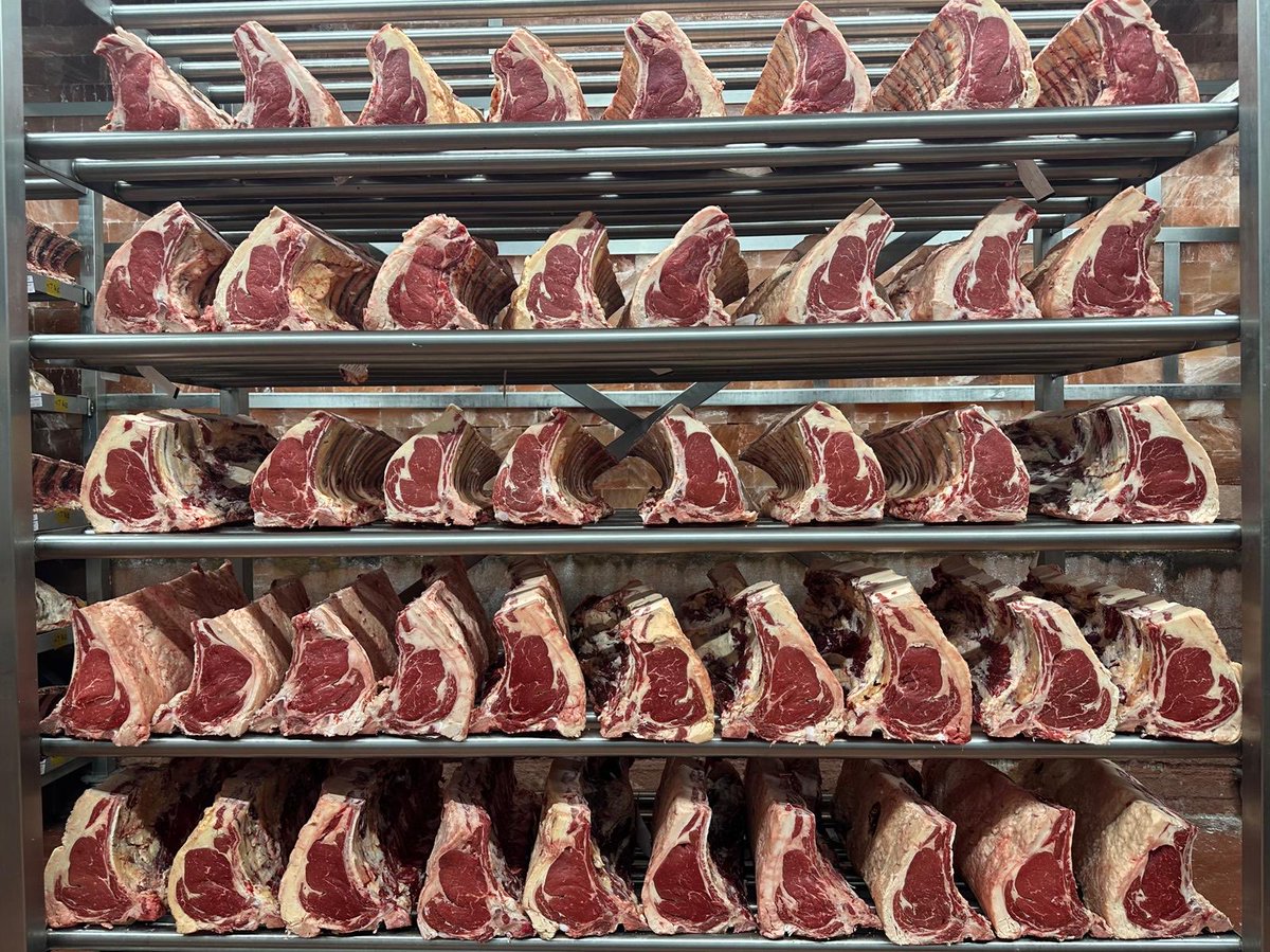 Off to sleep for 40 days…
#glenarmshorthorn #saltagedbeef #shorthornporn