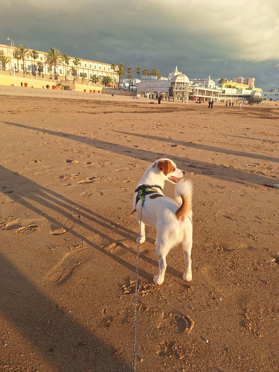 Él y su playita de Santamaria, pa que más
