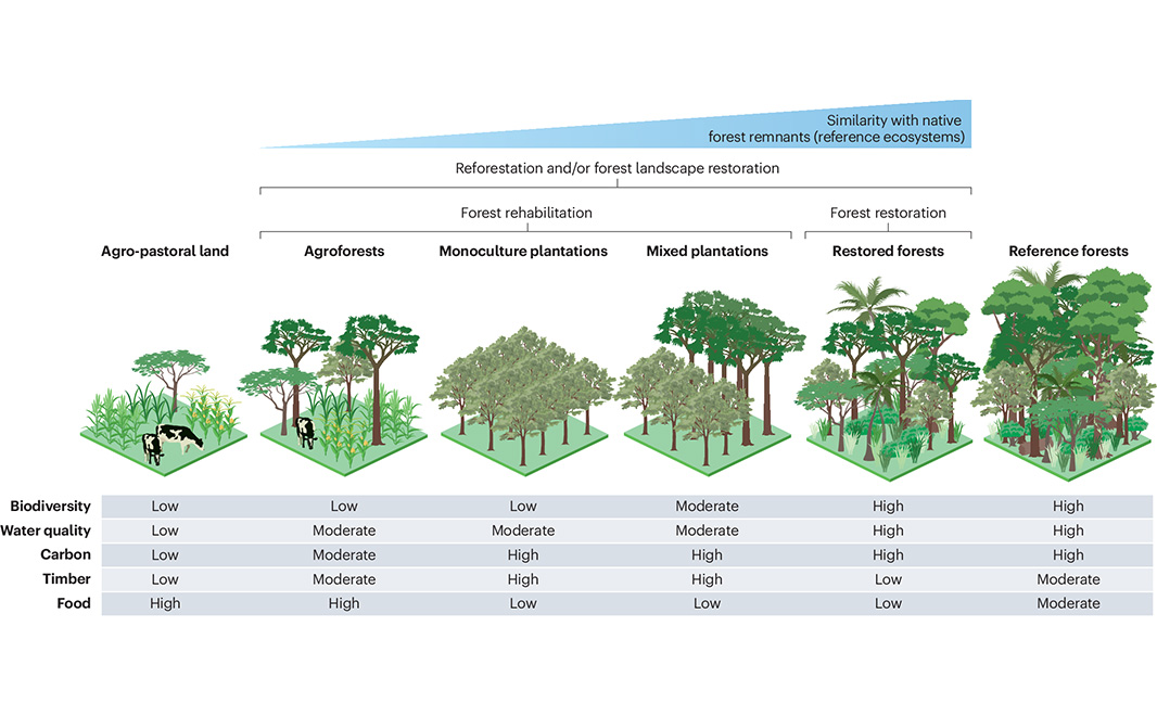 Nature Portfolio tweet media