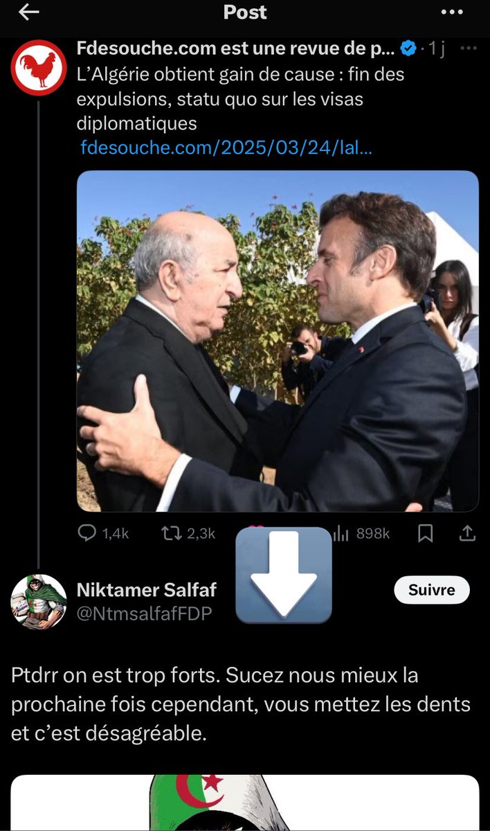 Mari13898687's tweet image. Encore un grand cru de consanguin made in Algerie !!! #algerie #cassos