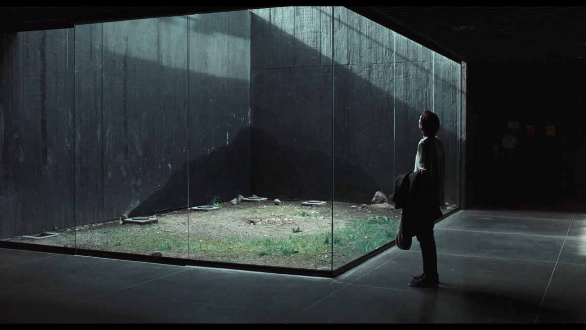 I love Apichatpong Weerasethakul his pictures feel so full of love