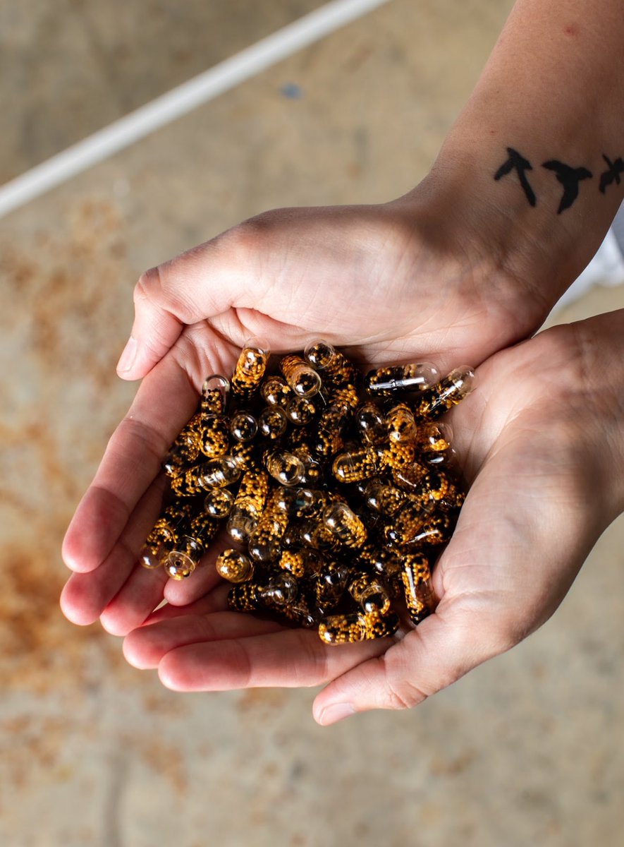 PerformixDriven's tweet image. Unleash the sting! ⚡️ SST V3X is back and stronger than ever—precision energy, fat-burning power, and unstoppable focus. Are you ready to feel the buzz? 

Link in bio