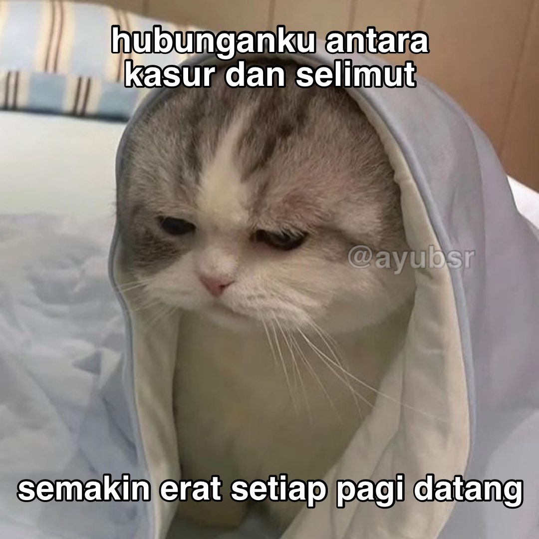 ayubsr's tweet photo. https://t.co/xSXU9HJGMt