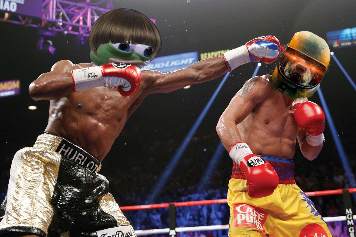 Loꓘo 🦝🌾 tweet media