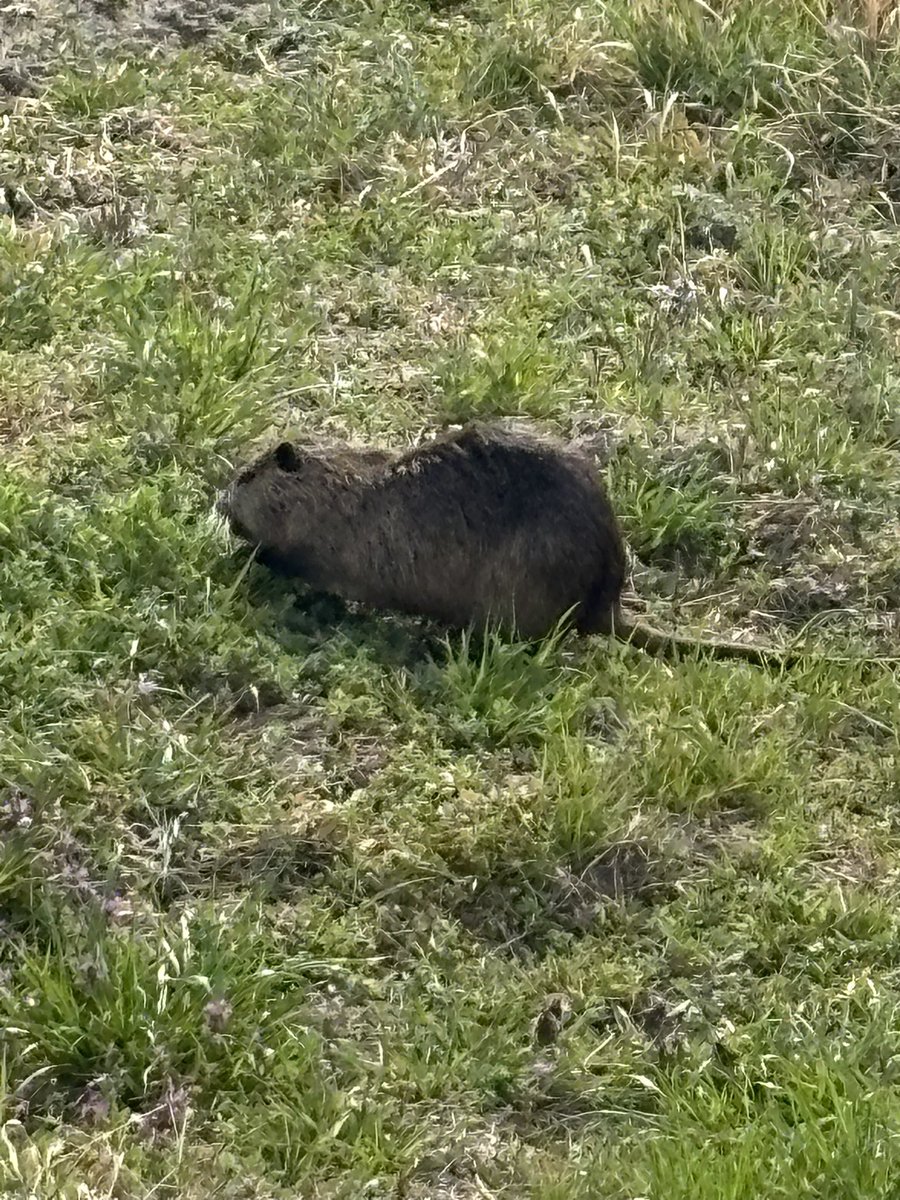 ぺろぺろ爺👅 tweet media