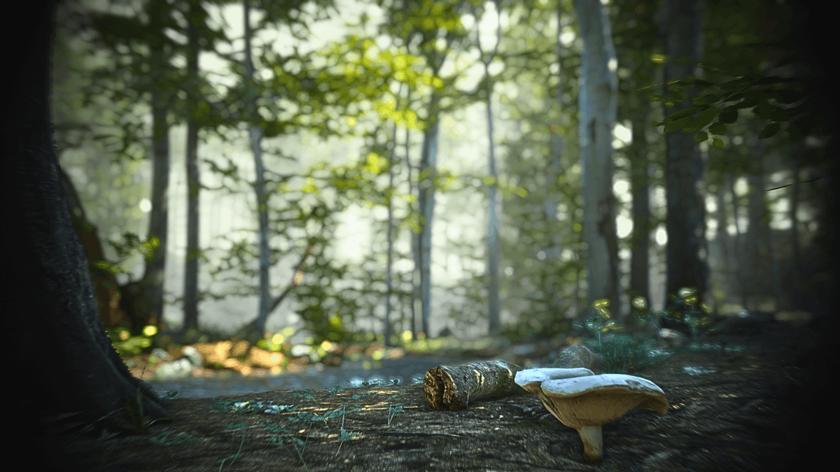 VRC_BARREL003's tweet photo. World:- Camp Lakewood -
by:ʚすいちゃんɞ
https://t.co/Ez6AvcX86Q
森のぬくもりに包まれる癒しの場。
A healing space enveloped in the warmth of the forest.
#VRChat_world紹介 #VRChatPhotography https://t.co/UX1SS3e581