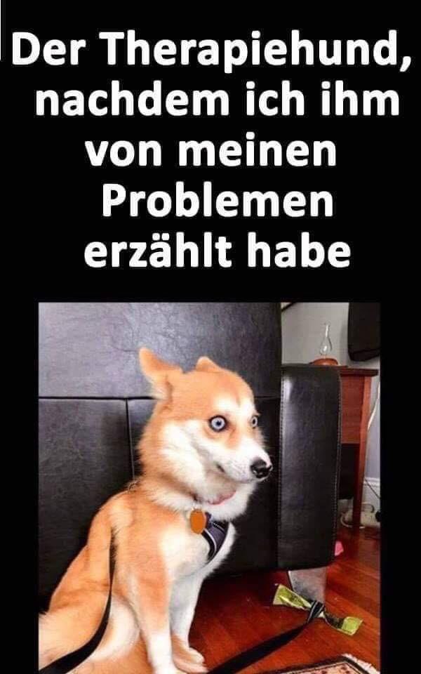 LuckyLu52078797's tweet photo. Wer von euch ist auch schon #austherapiert?! 😝 https://t.co/qJHMe761vy