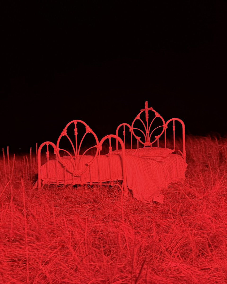 MORGAN SAINT ཐི⋆♱⋆ཋྀ tweet media