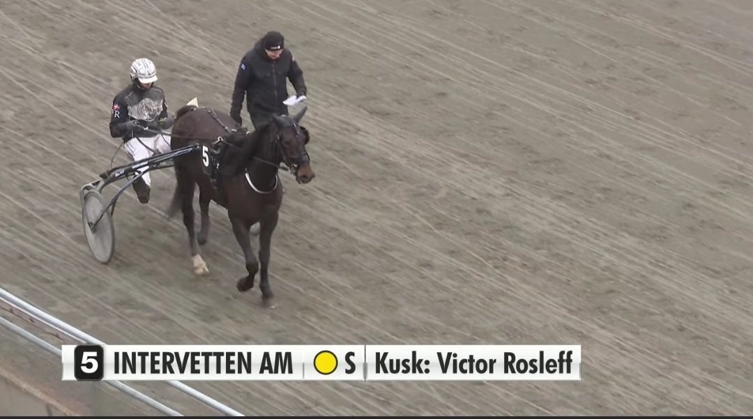 anttihamari's tweet photo. Intervetten Am. Ensimmäinen startti, ensimmäinen voitto. Uusi ennätys. Parannettavaa jäi mutta oikealla tiellä ollaan. Ensin laitetaan hevonen menemään Korven jälkeen, nyt Nurmoksen jälkeen. Hattu, päästä.
#intervettenam
#axevallatravet #ravit #trav #StallCE https://t.co/1E5IwIkA1V