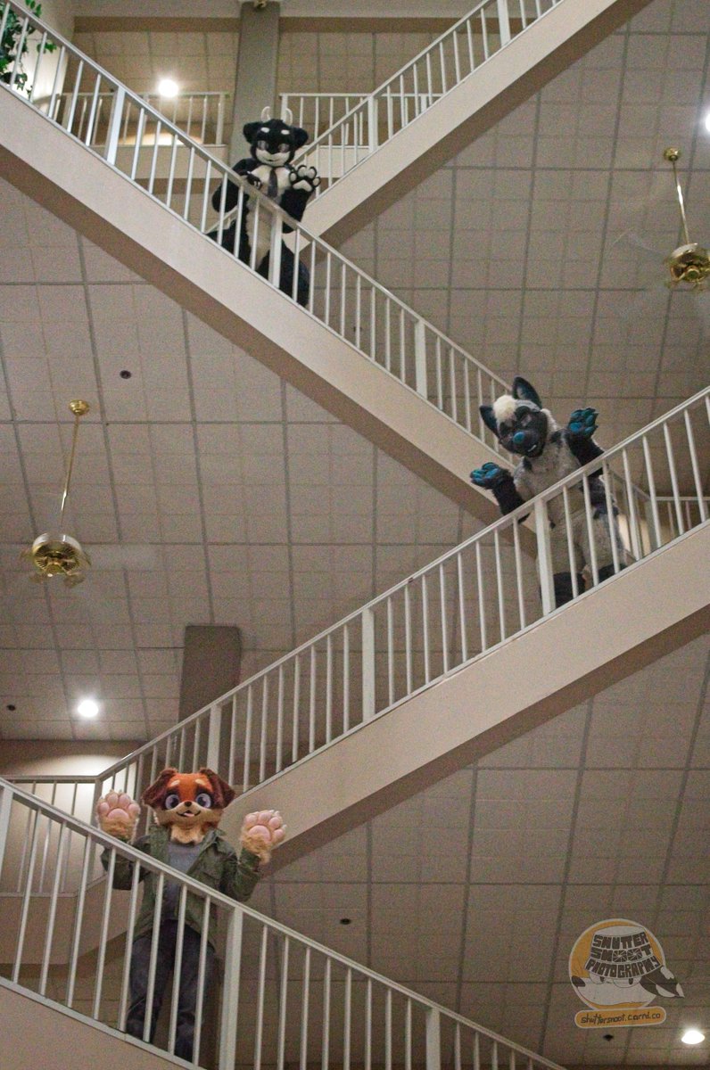 trey ➡️ FWA AC tweet media