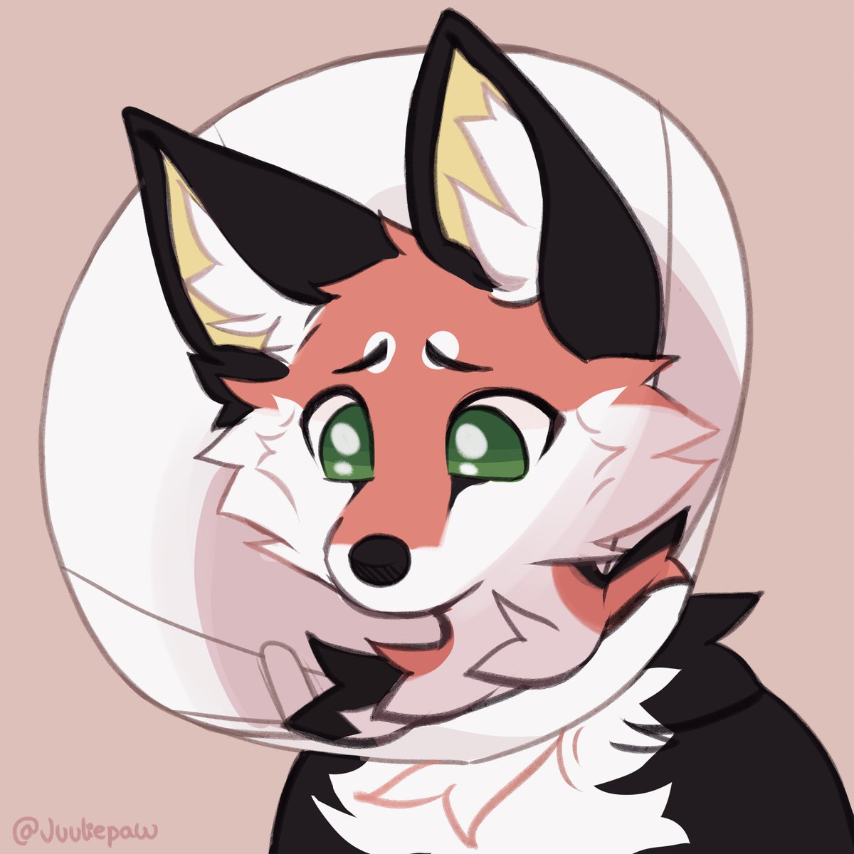 Cone of shame!! 

🎨 <a href="/Juuliepaw/">Juulie 🎀 comms closed</a>