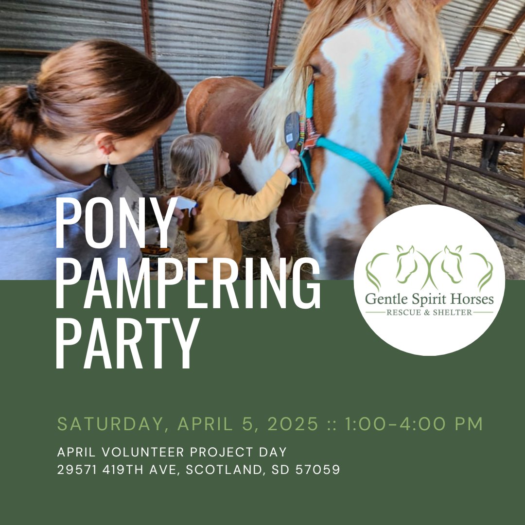 🐴 Pony Pampering Party is ON! 🐴

Spring has sprung — and that means the horses at Gentle Spirit Horses Rescue are shedding like crazy! They’re itchy and in desperate need of a good grooming.

Date: April 5, 2025
Time: 1:00 - 4:00 pm
Location:  29571 419th Ave, Scotland, SD