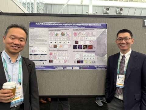 More <a href="/NU_Pathology/">Northwestern Pathology</a> hemepath abstracts in this afternoons poster session
