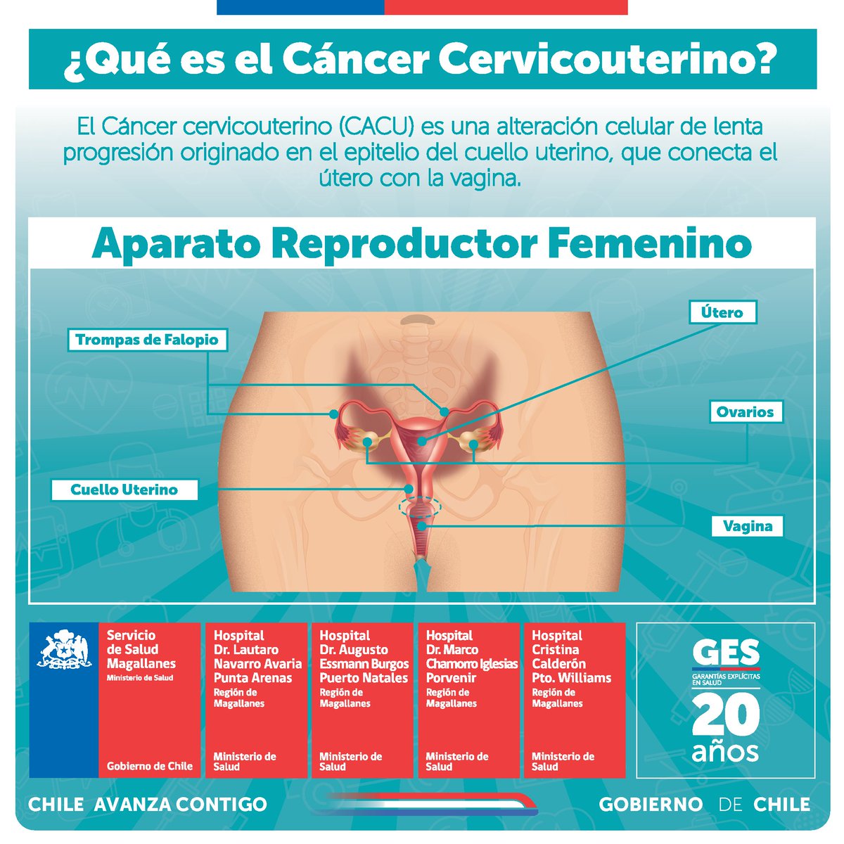 SaludMagallanes's tweet photo. 🔴En #DíadelaPrevenciónCáncerCervicouterino desde #Magallanes el mensaje es claro, generemos ➕conciencia sobre la prevención; #TómateElPap, usa preservativo y vacúnate contra el Virus Papiloma Humano. Recuerda la enfermedad tiene cobertura #GES3 @ministeriosalud @SeremiSalud_XII https://t.co/fip3hBZIBB